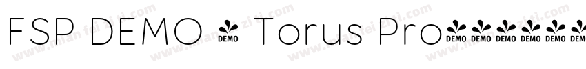 FSP DEMO - Torus Pro字体转换